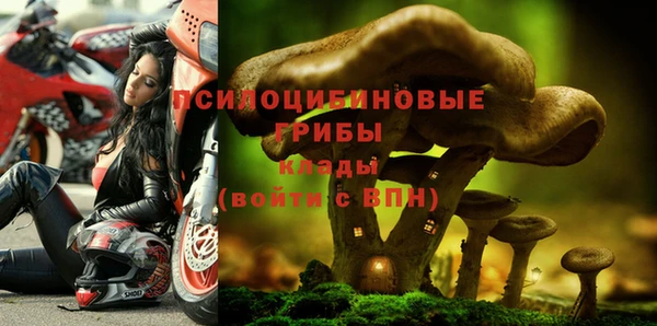 винт Арсеньев